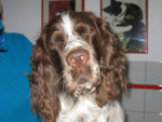 Spotty,wat een portret!