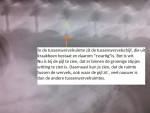 Max, detailopname:verkalking=witting in de tussenwervelschijf. Door acupunctuur en pijnstillers loopt hij weer!