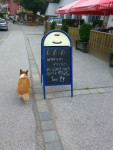 Mabel, hier op een vakantiefoto van de eigenaren.