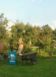 Willem,de weimaraner, is met acupunctuur goed geholpen. Hij kan weer de appels uit de bomen eten!